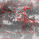 2007101109.00F.IR1.gif