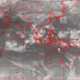 2007101112.00F.IR1.gif