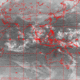 2007101117.01F.IR1.gif