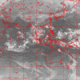 2007101117.31F.IR1.gif