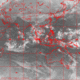 2007101118.01F.IR1.gif