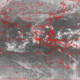 2007101120.01F.IR1.gif