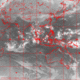 2007101121.01F.IR1.gif