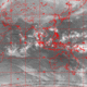 2007101123.01F.IR1.gif