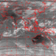 2007101206.00F.IR1.gif