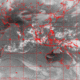 2007101207.00F.IR1.gif