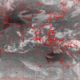 2007101207.00F.IR2.gif