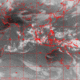 2007101208.00F.IR2.gif