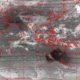 2007101506.00F.IR1.gif