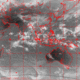 2007101507.00F.IR1.gif