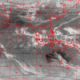 2007102206.00F.IR1.gif