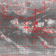 2007102215.01F.IR1.gif