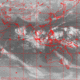 2007102217.01F.IR1.gif