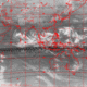 2007102422.01F.IR1.gif