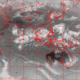 2007102506.00F.IR1.gif