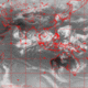 2007102507.00F.IR1.gif