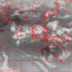 2007102508.00F.IR1.gif