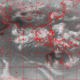 2007102508.00F.IR2.gif