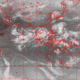 2007102511.01F.IR1.gif