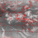 2007102511.01F.IR2.gif