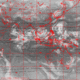 2007102514.01F.IR1.gif