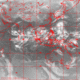 2007102518.01F.IR1.gif