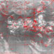 2007102518.01F.IR2.gif