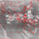 2007102520.01F.IR1.gif