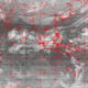 2007102813.01F.IR1.gif