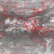 2007102814.01F.IR1.gif