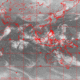 2007103115.01F.IR1.gif