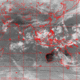 2007110205.00F.IR1.gif