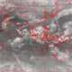 2007110211.01F.IR1.gif