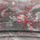 2007110211.31F.IR1.gif