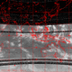 2007110314.01F.IR1.gif