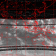 2007110314.01F.IR2.gif