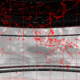 2007110314.01F.IR3.gif