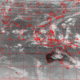 2007110404.00F.IR1.gif