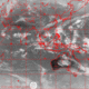 2007110405.00F.IR1.gif