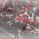 2007110407.00F.IR1.gif