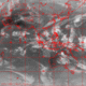 2007110409.00F.IR2.gif