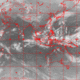 2007110514.01F.IR1.gif