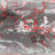 2007111008.00F.IR1.gif