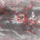 2007111010.00F.IR1.gif