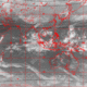 2007111012.01F.IR1.gif