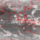 2007111110.00F.IR1.gif