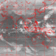 2007111121.01F.IR1.gif