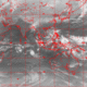 2007111519.01F.IR1.gif