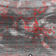 2007112013.01F.IR2.gif