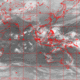 2007112217.01F.IR1.gif